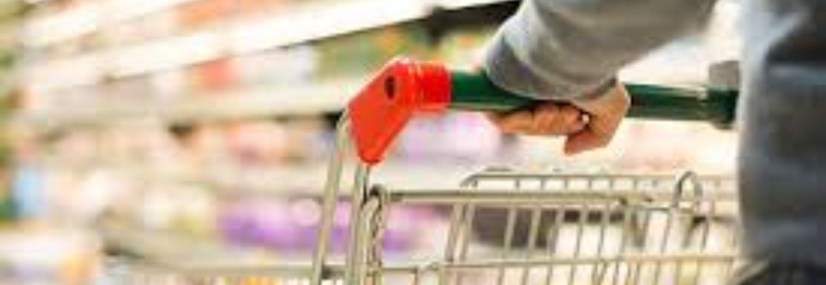 Carros y Cestas de Compras